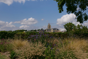 Courtier Argenteuil